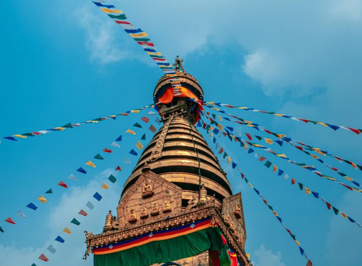 NepaliNewsNetwork, welcome to local news and news all around the world!